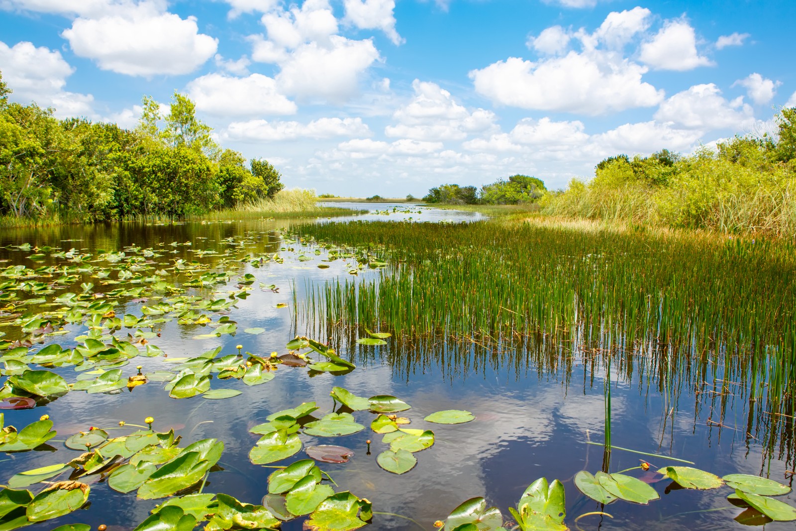 Everglades National Park Besichtigung TDQPH