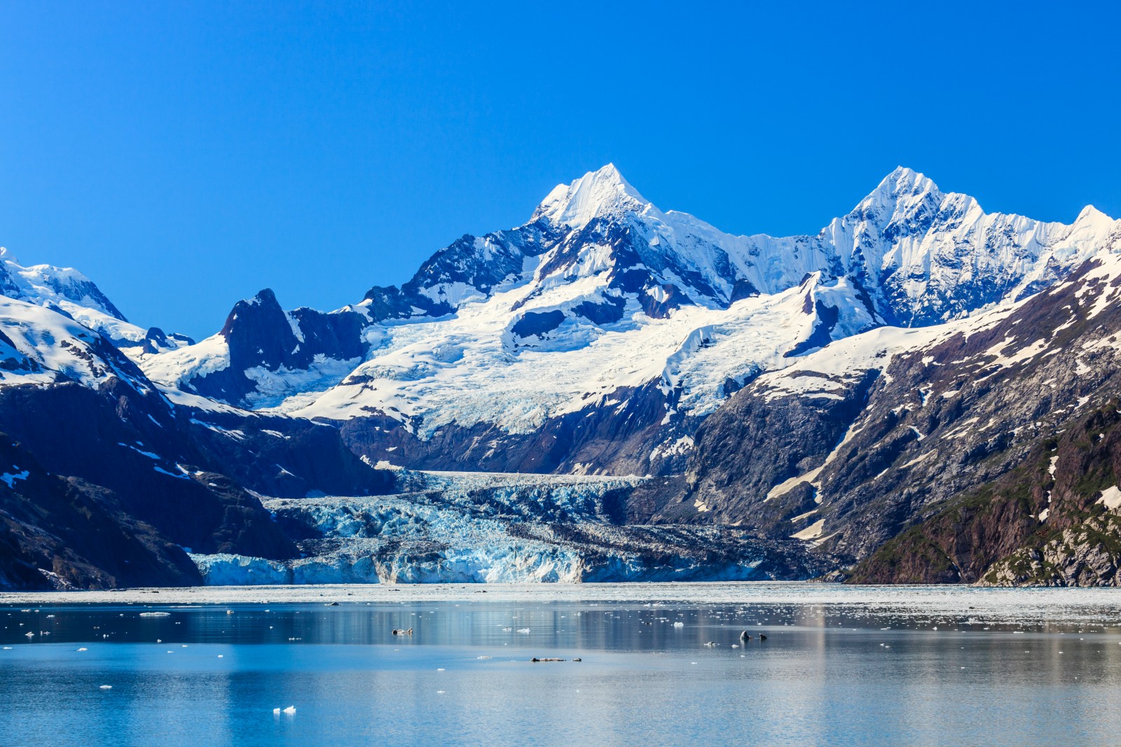 Glacier Bay National Park Alaska SKNI