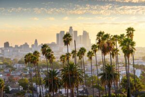 Los Angeles: Palmen vor der Skyline im warmen Licht