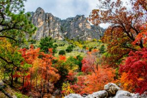 Der Guadalupe Mountains Nationalpark liegt im westlichen Texas, nahe der Grenze zu New Mexico.