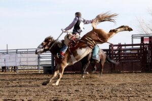 Rodeos sind in Texas sehr beliebt und ein integraler Bestandteil der Kultur und Tradition des Staates.