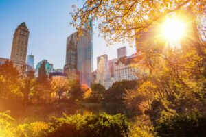 Der Central Park in New York City ist im Herbst besonders schön und bietet eine atemberaubende Kulisse mit bunten Herbstfarben.