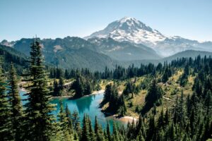 Der Mount Rainier Nationalpark ist ein Nationalpark, der sich um den Mount Rainier, einen aktiven Stratovulkan, erstreckt.