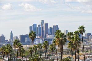 Blick auf die Skyline von Los Angeles mit hohen Palmen im Vordergrund