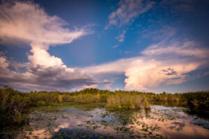 Sonnenuntergang über den Everglades in Florida mit Wolkenformationen, Wasserlinsen und dichter Vegetation.