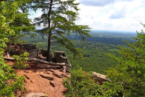 Aussicht vom Crowders Mountain State Park