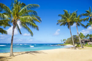 Palmen an einem hellen Sandstrand auf Kauaʻi mit türkisblauem Meer, kleinen Wellen und tiefblauem Himmel
