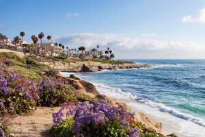 Küstenweg in La Jolla mit Blumen, Felsen und Pazifikblick bei San Diego