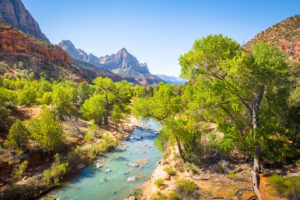 Virgin River zwischen grünen Uferbäumen und roten Sandsteinfelsen im Zion-Nationalpark